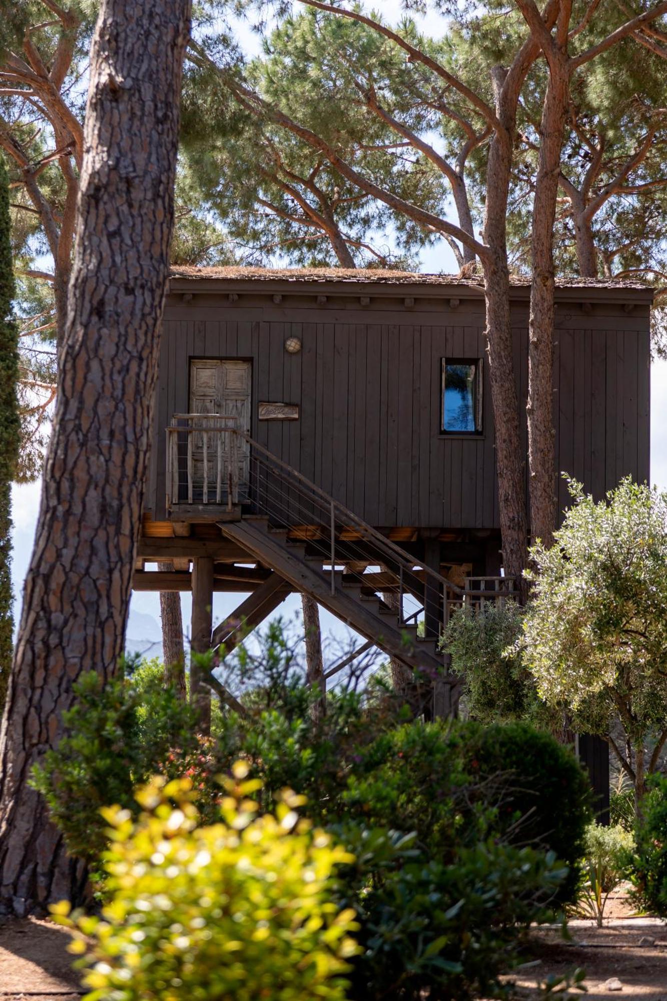 La Signoria Hotell Calvi  Exteriör bild